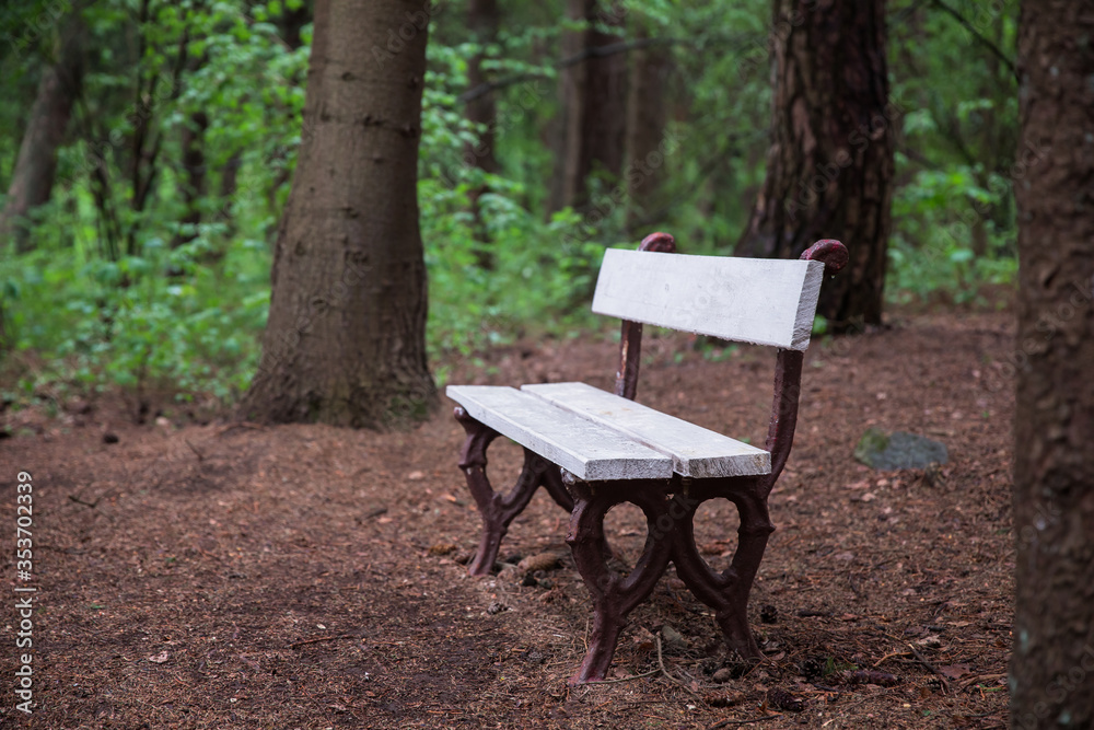 Naklejka premium bench in the park