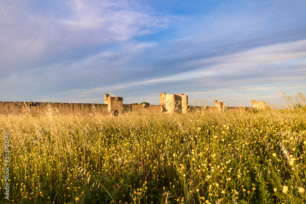 Vue sur les remparts et l'une des portes fortifiées de la ville médiévale d'Aigues-Mortes à travers les hautes herbes (Occitanie, France)