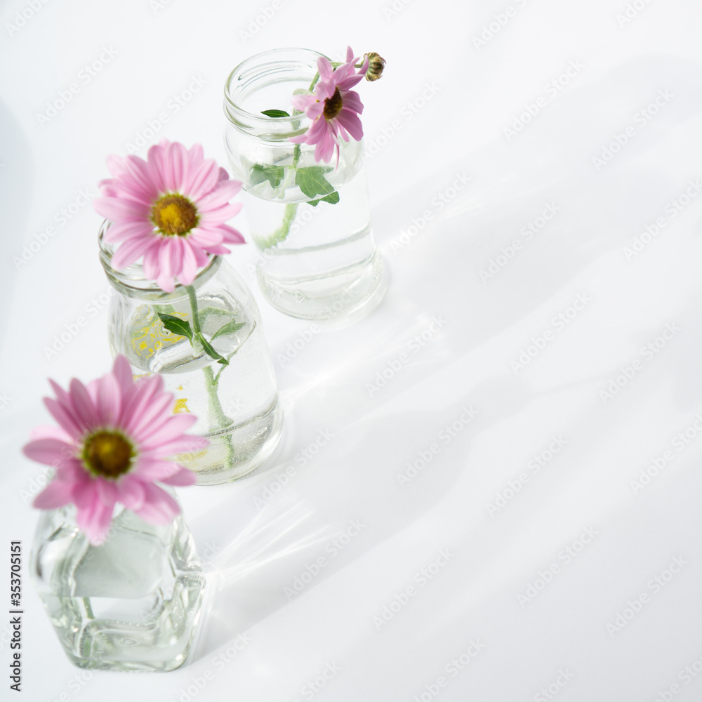 Place for text on a white background with spring flowers Place for text on a white background with spring flowers