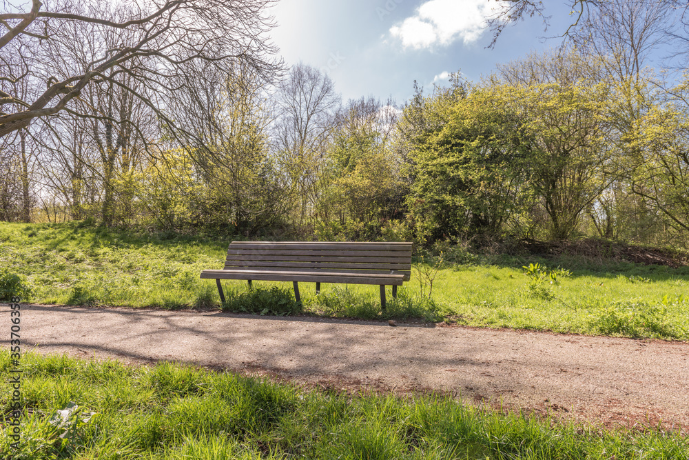 bench in a park