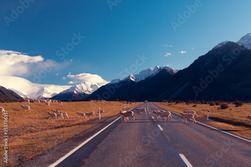 Mount Cook Neuseeland, einsamer Weg, Hooker Valley, Alpenglühen