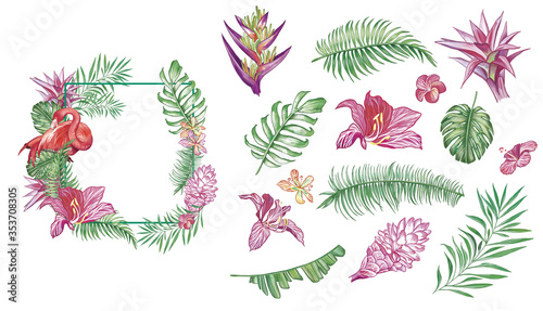 Bright set of tropical leaves and exotic flowers in high quality and detailed drawing.