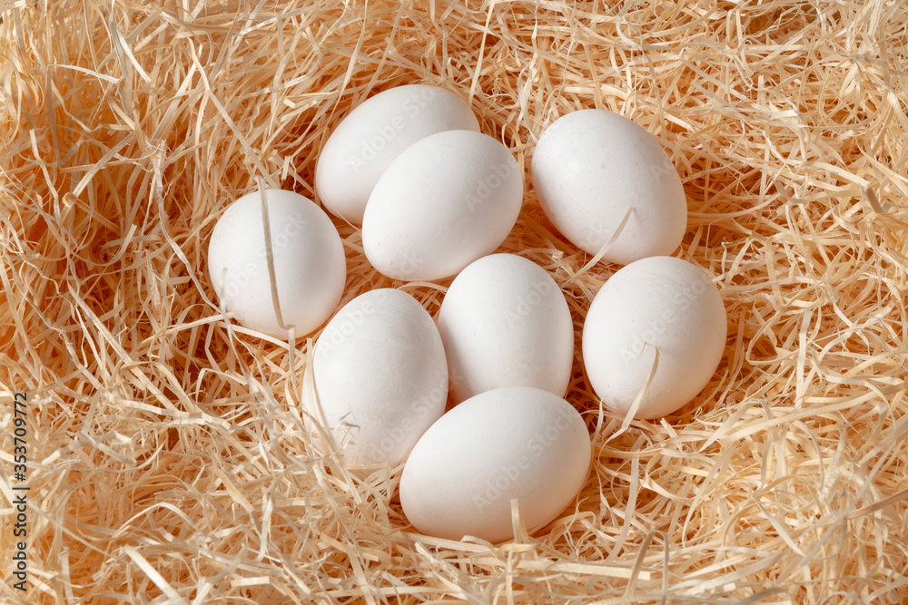 Fresh chicken eggs lie on a wooden chip. Fresh chicken eggs lie on a wooden chip.