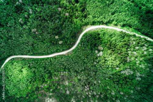 Dirt winding road through deep forest aerial