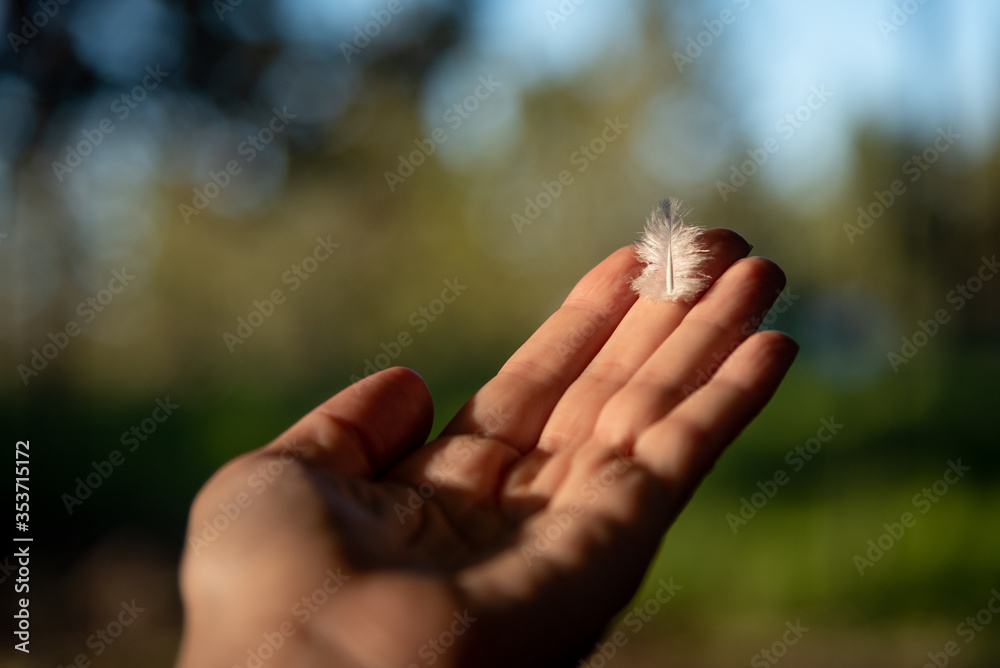 caucasian woman holding a feather to the blue sky caucasian woman holding a feather to the blue sky