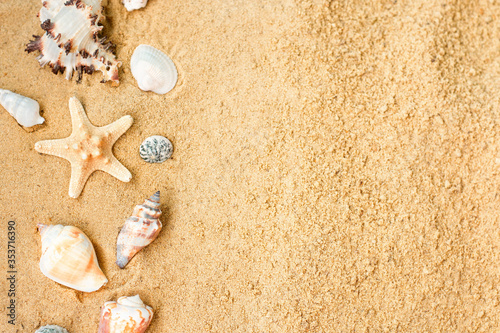 Vacation memories from beach  seashell and starfish. Summer beach background travel concept.