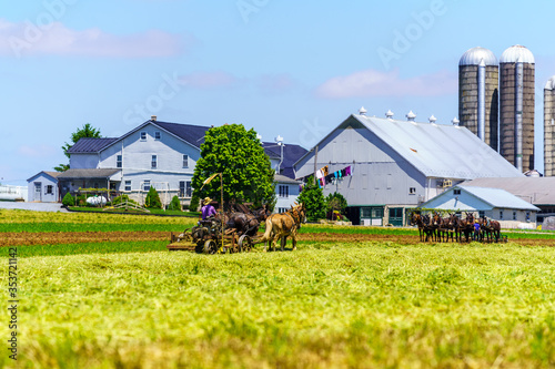 Amish Farmer Uses Horse Team photo