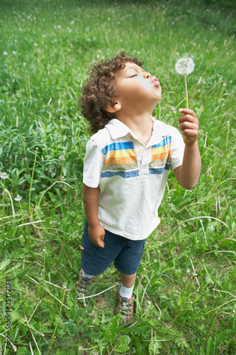 Young child blowing dandelion seed head