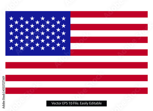 vector image of American flag. USA colored flag flat vector.