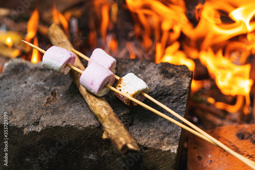 Obraz na płótnie Marshmallow on skewers is fried at the stake. w salonie