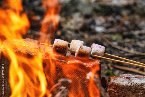 Marshmallow on skewers is fried at the stake. photo