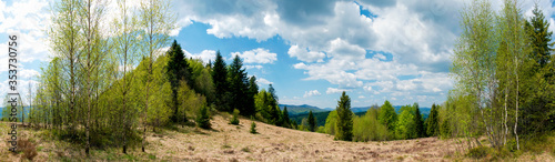 Beautiful rural summer landscape with forest, blue sky and white clouds, panorama. spring landscape with panoramic views of meadow and mountains