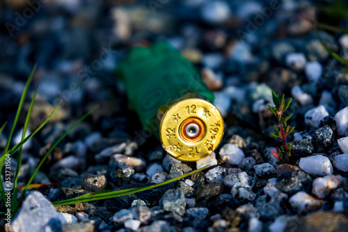 Foto Old Brass In Duck Shooting Season