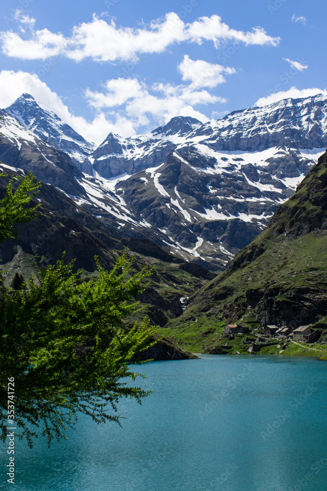 Fototapeta premium mountain lake and branches