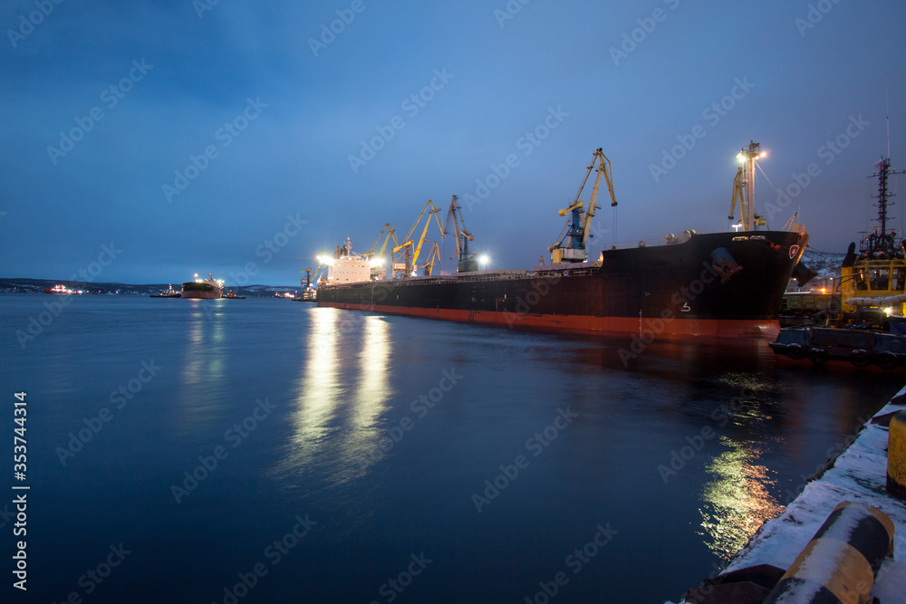 General view of the cargo port. Freight railroad cars await unloading near the coal terminal. Freight gantry cranes unload rail freight wagons into bulk carriers. Freight ships