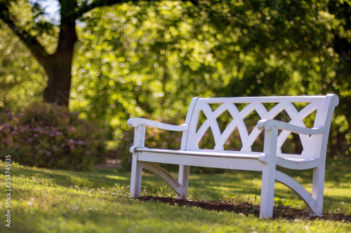 Lonely park bench in summer