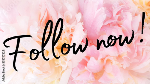 Follow social media text instagram blog