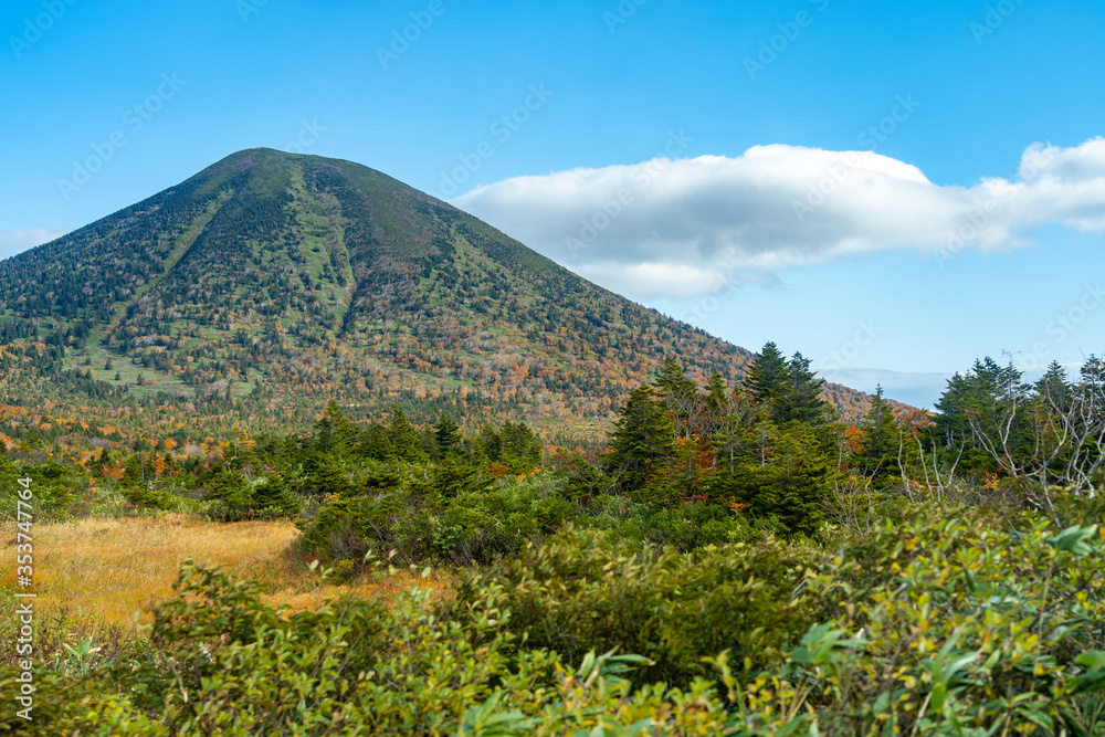 Mountain forest landscape under sky with clouds in sunny day. Mount Hakkoda, Towada Hachimantai National Park, Aomori, Japan