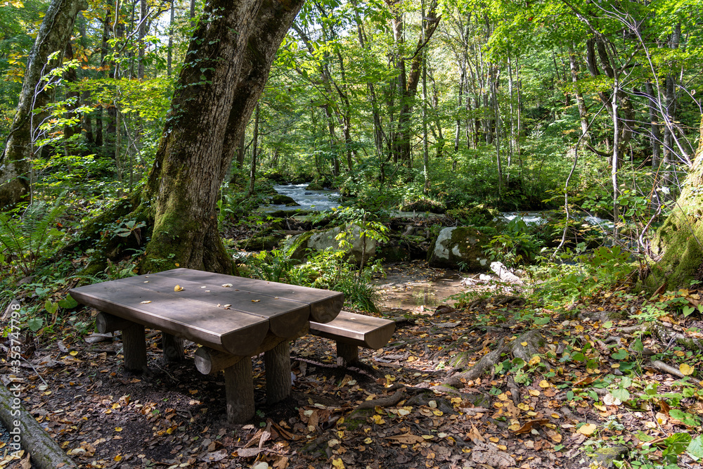 Wooden bench in the forest, beautiful nature scene in summer. Flowing river, green leaves, mossy rocks in Oirase Stream in sunny day, Towada Hachimantai National Park, Aomori, Japan Wooden bench in the forest, beautiful nature scene in summer. Flowing river, green leaves, mossy rocks in Oirase Stream in sunny day, Towada Hachimantai National Park, Aomori, Japan