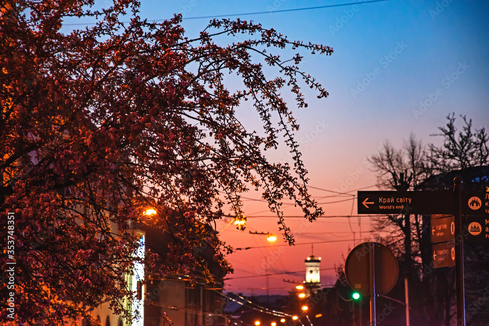 Naklejka premium sunset in the city