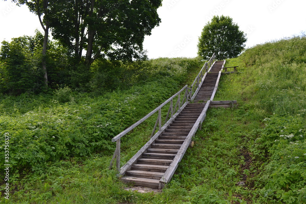 Wooden staircase on a hill with trees and green grass.