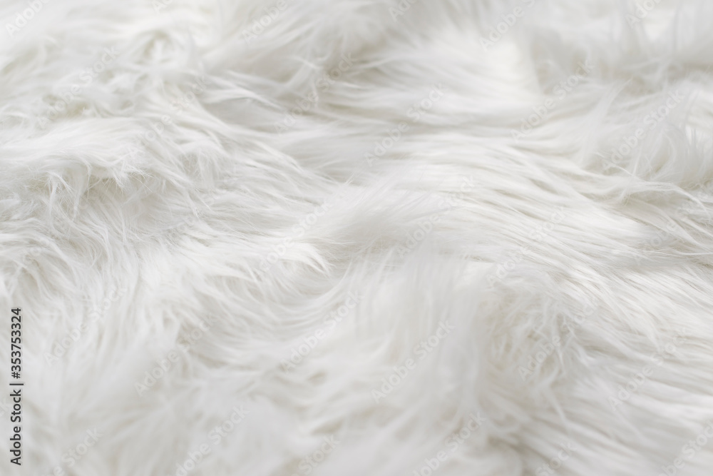 Animal fur texture as a background. Sheep white soft wool surface Animal fur texture as a background. Sheep white soft wool surface