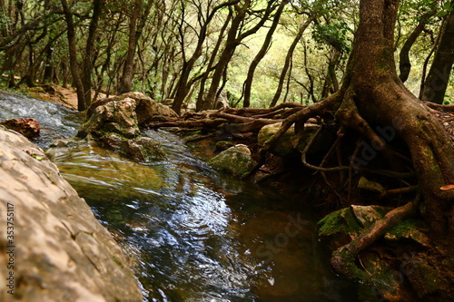 Premiers pas de l'Huveaune hors de terre, Provence, Var