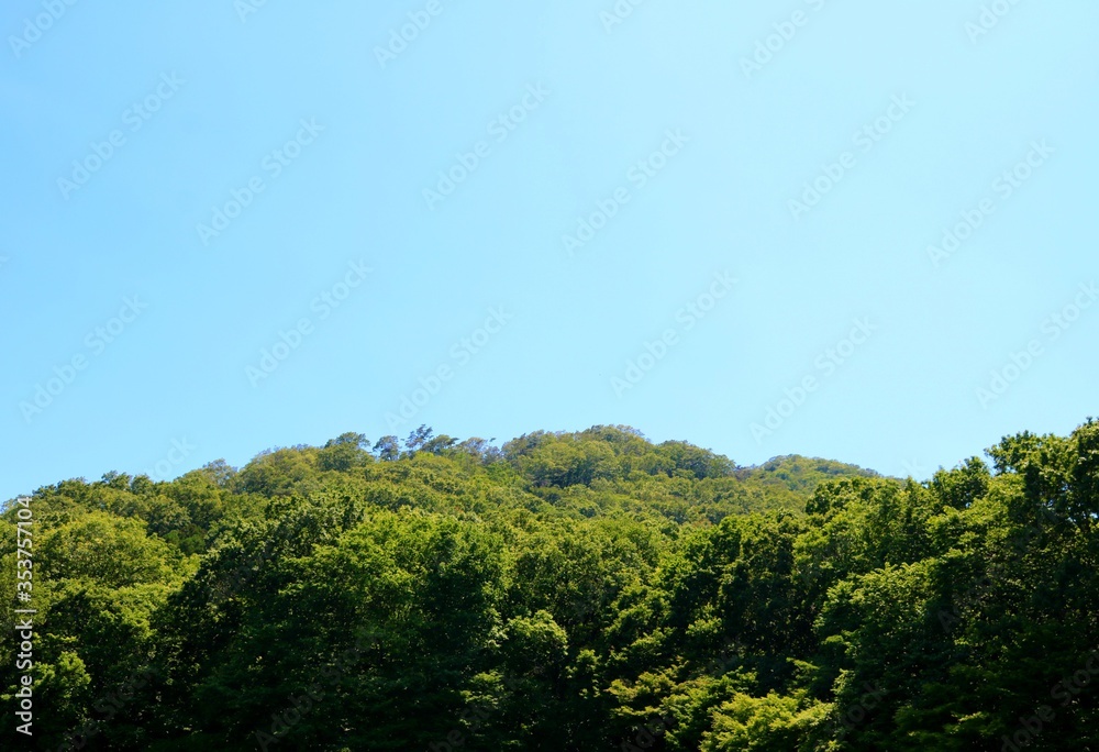 青空　緑　爽やか　風景　栃木