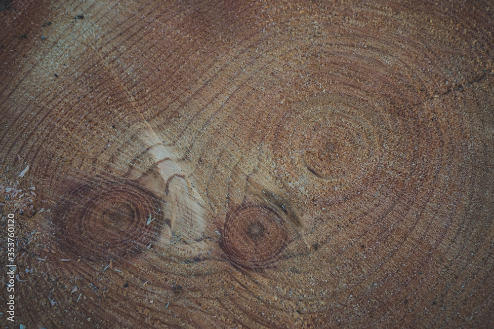 Naklejka premium Place saw cut with wood texture.