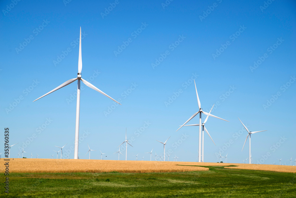 wind turbines in a field of wheat wind turbines in a field of wheat