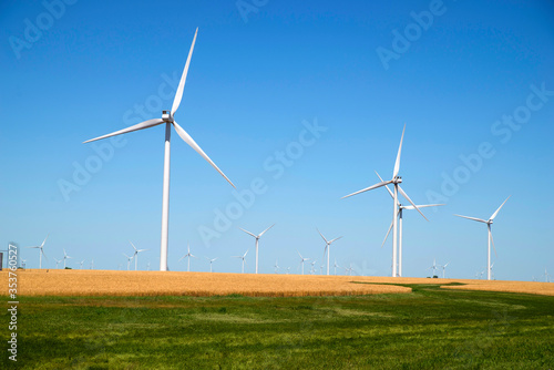 wind turbines in a field of wheat