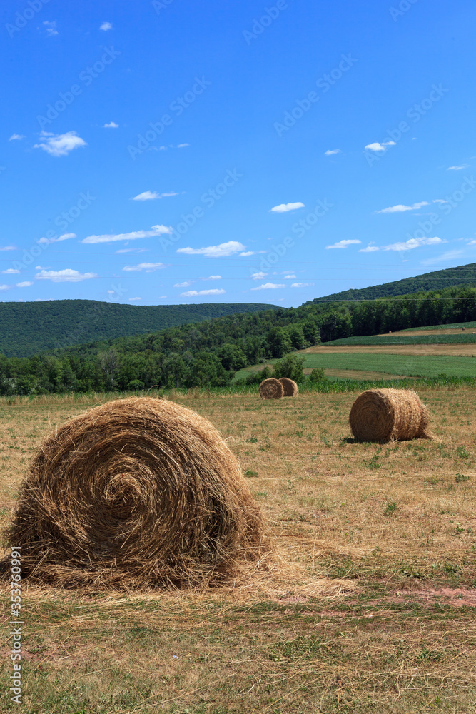 Straw Bales Straw Bales