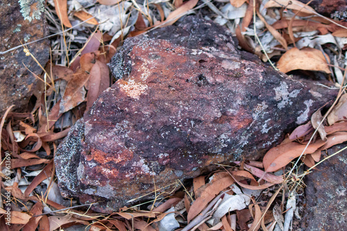 Beautiful laterite rock found in the bush in Balingup, Western Australia. Note the interesting colour patterns. photo