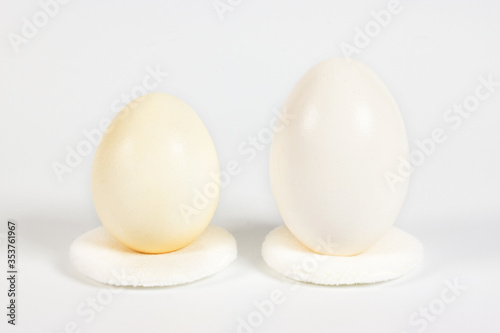The difference between chicken eggs and native chicken eggs is in size