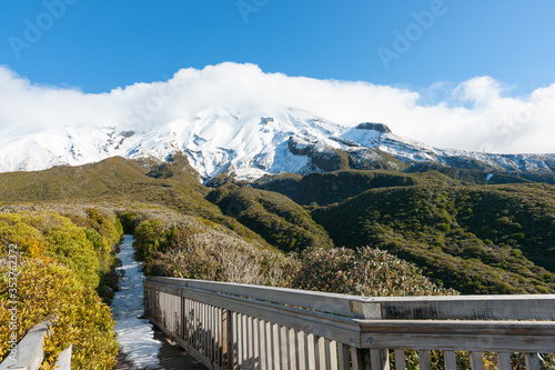 Alpine vegetation below Mount Egmont with track covered in snow leading through kamahi forest to slopes of mountain, Taranaki