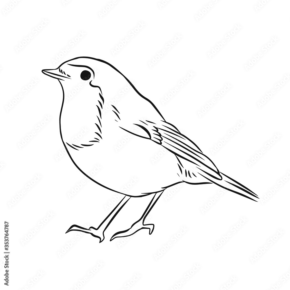 Naklejka premium Robin bird hand drawn vector illustration black and white