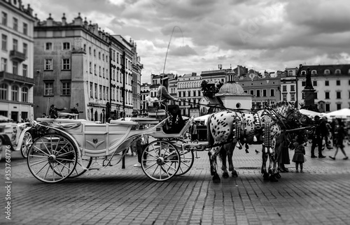 horse drawn carriage © Claire