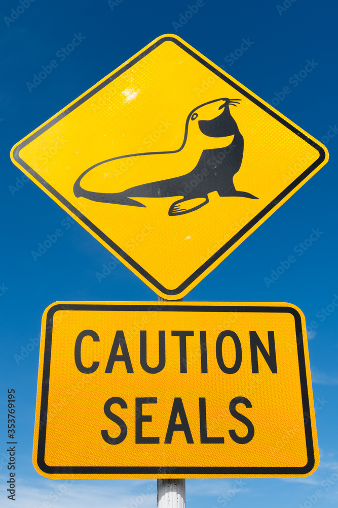 Street sign warning about wild seals in the area. Photo taken in Kaikoura/New Zealand. Street sign warning about wild seals in the area. Photo taken in Kaikoura/New Zealand.