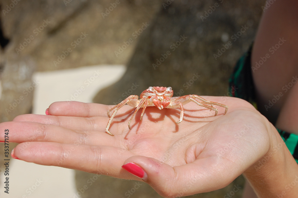 Obraz premium Thailand. Culture Of Thailand. Attractions and nature of Thailand.