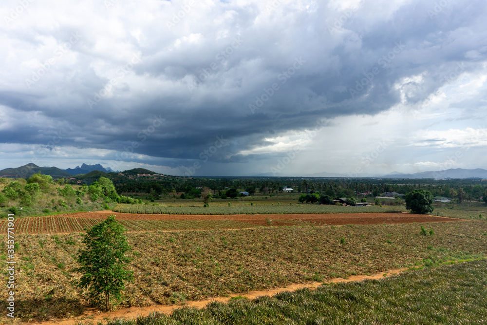 The transition from summer to rainy season Resulting in strong gusts and agricultural products may be damaged.