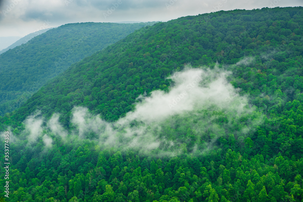Fototapeta premium Lush green forest in the mountains, clouds rolling in the mountains, view from Lindy Point, West Virginia