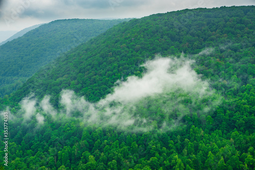 Lush green forest in the mountains, clouds rolling in the mountains, view from Lindy Point, West Virginia