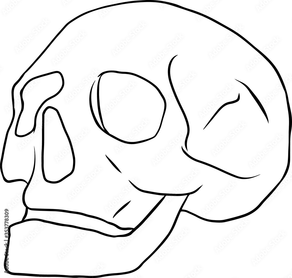 Vector black and white illustration of human line art hand drawn style. Vector black and white illustration of human line art hand drawn style.
