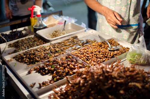 Fried insects on the streets of Bangkok, Thailand