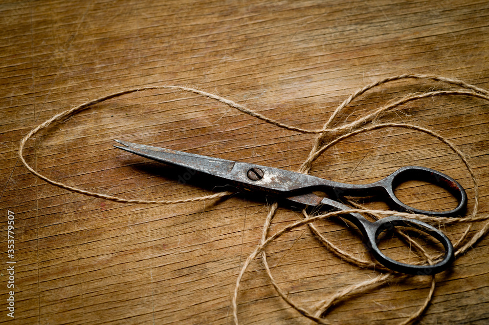 Spring Scissors Old Old iron scissors of the last century covered with rust, removed from ...