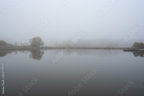 Horse at lake on misty autumn day