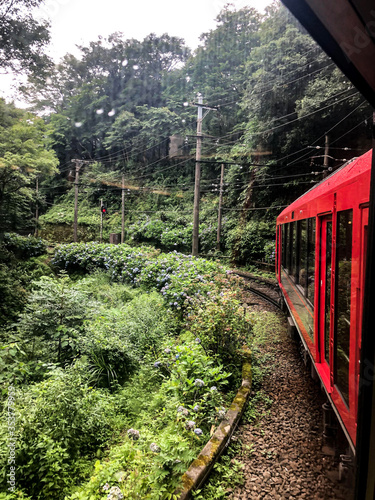 Red Train in Forest
