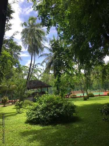 Maldives. The beauty of the Maldives Islands. Nature of the Maldives.