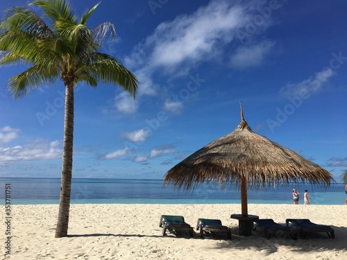 Maldives. The beauty of the Maldives Islands. Nature of the Maldives.