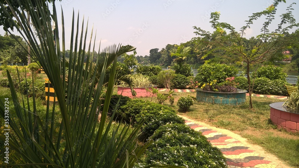Fototapeta premium tropical garden with palm trees